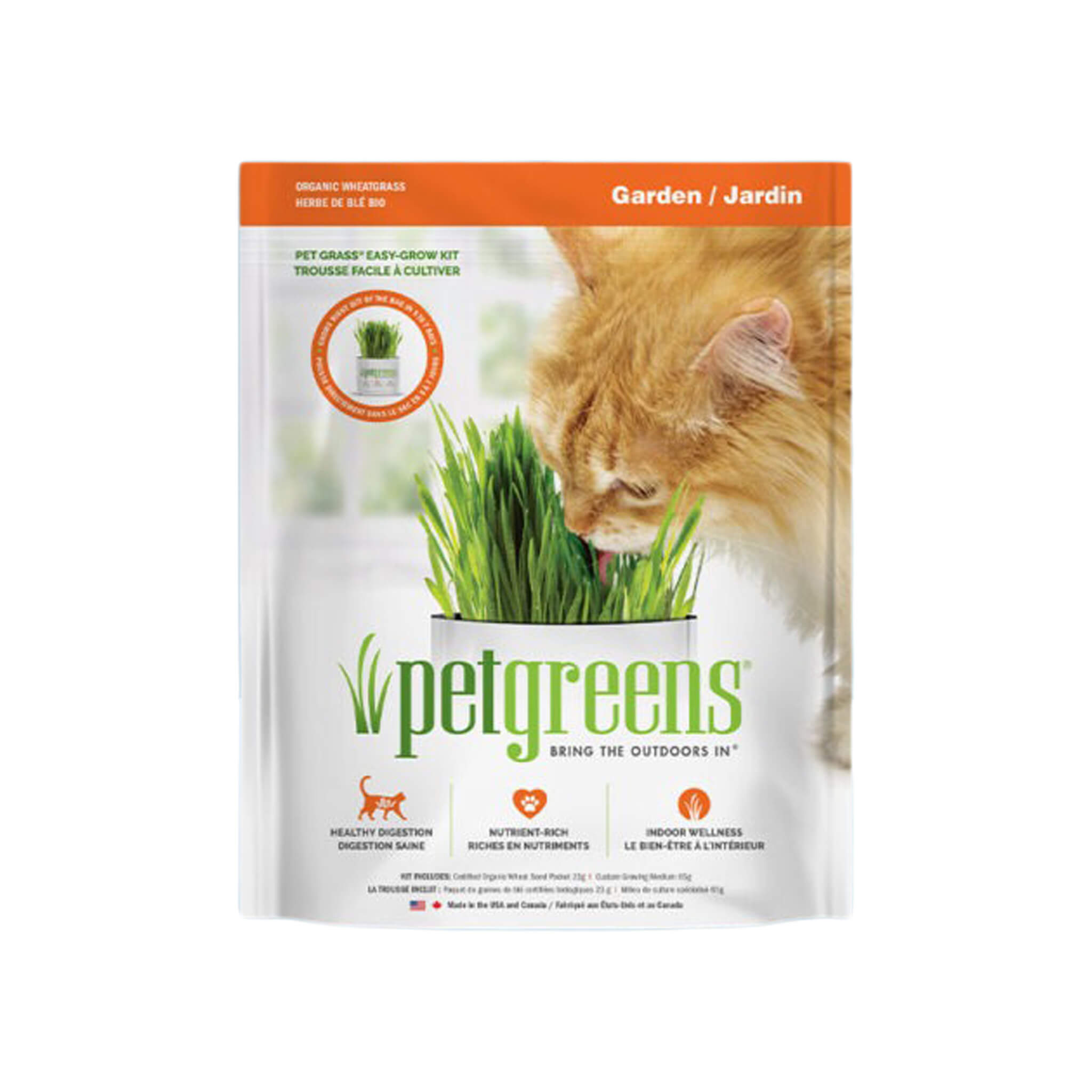 Pet Greens Cat Grass Grow Kit